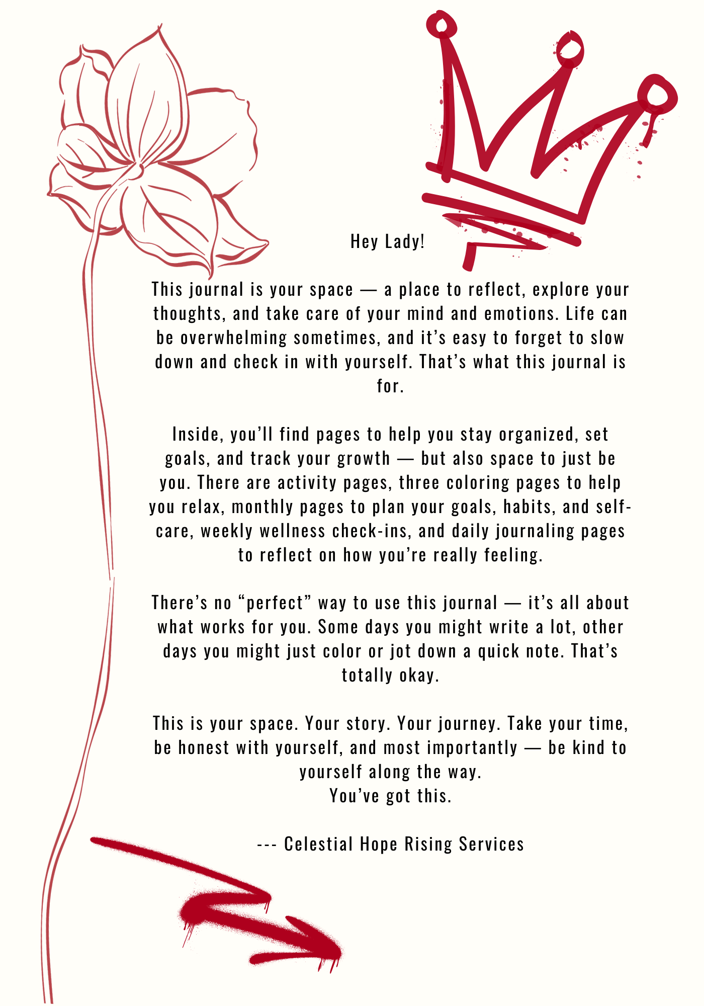 Lady Mindful Mavericks Daily Journal